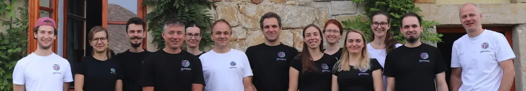 Geneea team