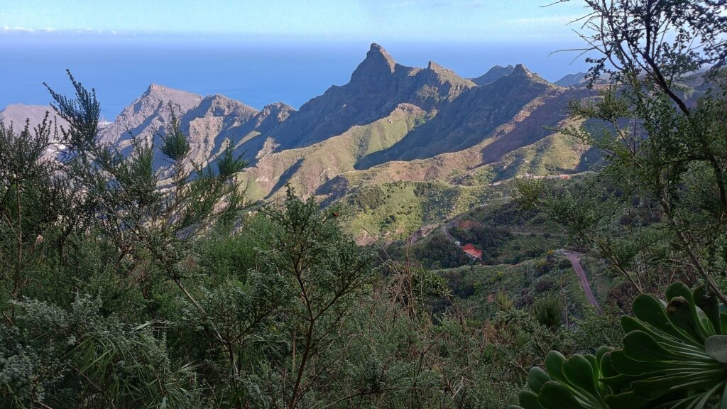 Tenerife: Mirador Los Catalanes